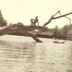 Meet your Posher, Frank